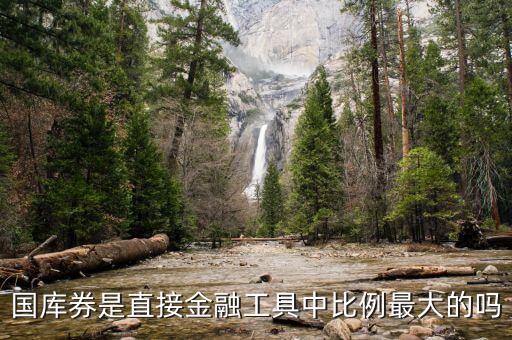 什么是國庫卷，國庫卷是做什么用的