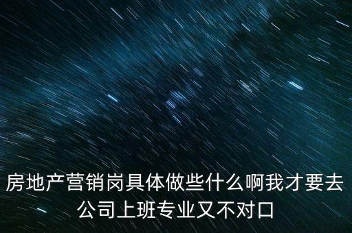房地產(chǎn)營銷崗具體做些什么啊我才要去公司上班專業(yè)又不對口