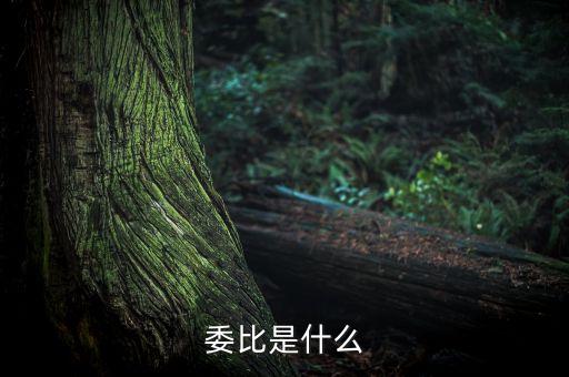 什么是委比指標，股票里面的委比是什么意思