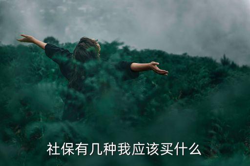 社保有幾種我應(yīng)該買什么