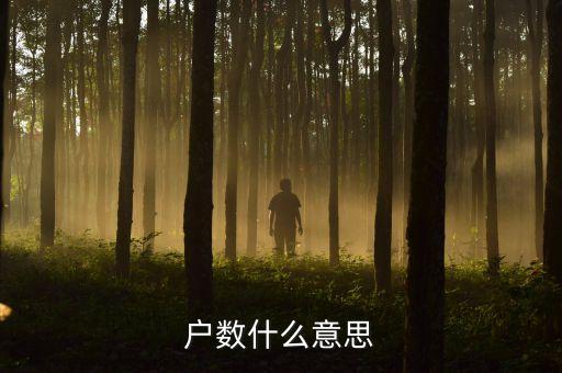 什么是基本戶數(shù)，戶數(shù)什么意思