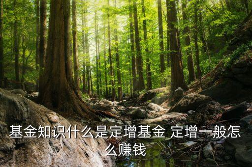 基金知識(shí)什么是定增基金 定增一般怎么賺錢