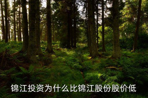 錦江投資和錦江股份什么關系，錦江投資為什么比錦江股份股價低