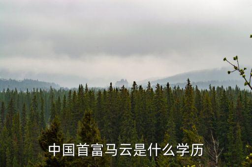 馬云屬于什么階級(jí)，馬云是不是阿里巴巴職位最高的人他的職位是什么是不是有權(quán)利開(kāi)