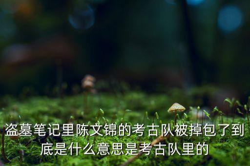 盜墓筆記里陳文錦的考古隊(duì)被掉包了到底是什么意思是考古隊(duì)里的