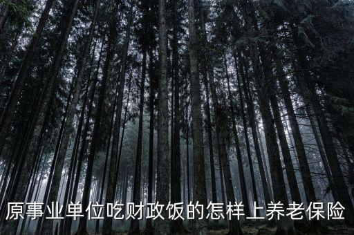 事業(yè)編吃的什么財(cái)政，事業(yè)單位吃財(cái)政的聘用人員無(wú)編制和信用社的聘用人員自來(lái)水公司