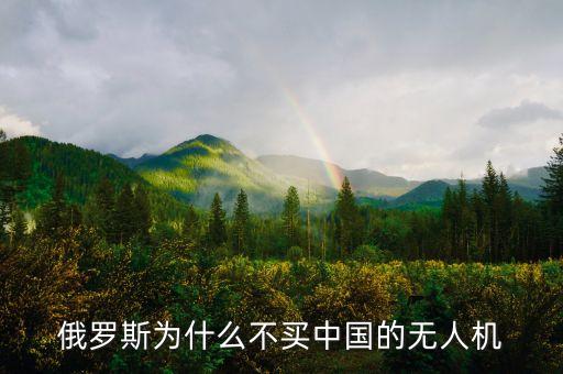 中國為什么不買俄羅斯客機(jī)，中國為什么不買俄羅斯民航客機(jī)而買美國客機(jī)