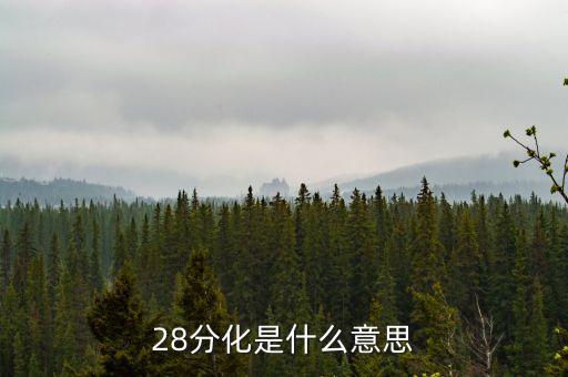 股市28分化什么意思，28分化是什么意思