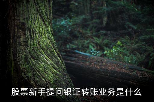 股票新手提問銀證轉(zhuǎn)賬業(yè)務(wù)是什么
