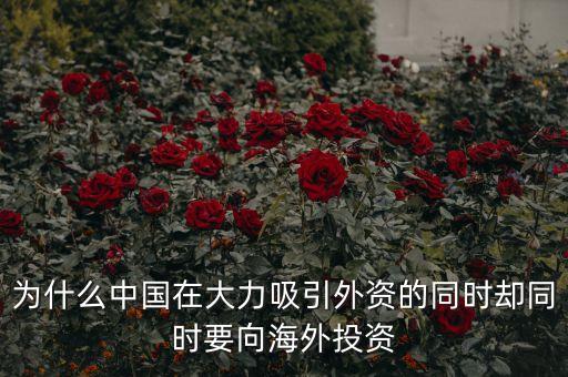 中國為什么在外投資，為什么中國在大力吸引外資的同時卻同時要向海外投資