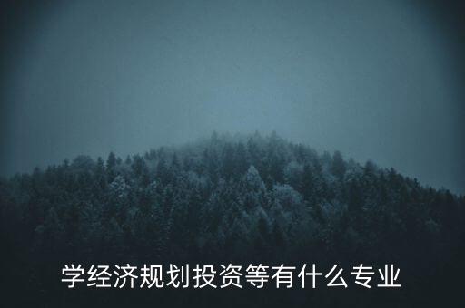 學經濟規(guī)劃投資等有什么專業(yè)