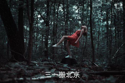 三一為什么搬家，三一搬北京