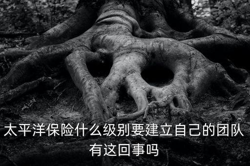 太平洋保險組建團隊是什么意思，太平洋保險什么級別要建立自己的團隊有這回事嗎