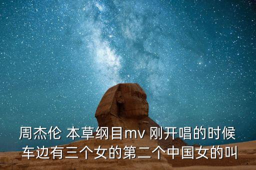 第二個中國叫什么，周杰倫 本草綱目mv 剛開唱的時候 車邊有三個女的第二個中國女的叫