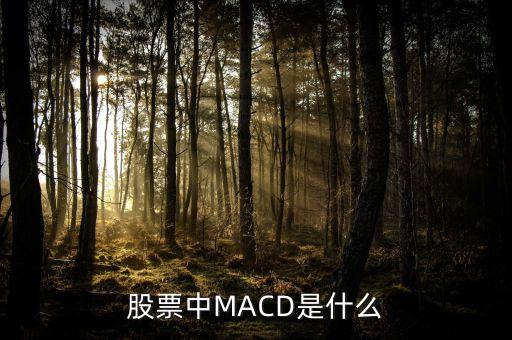 股市MACD線是什么意思，股票中MACD是什么意思