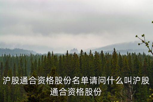 滬股通合資格股份名單請問什么叫滬股通合資格股份