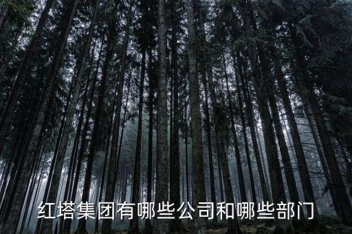 美登印務(wù)和紅塔集團(tuán)有什么關(guān)系，紅塔集團(tuán)有哪些公司和哪些部門