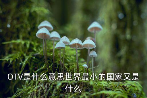OTV是什么意思世界最小的國(guó)家又是什么