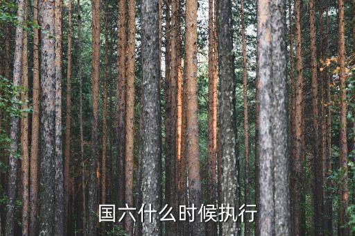 國六什么時候執(zhí)行