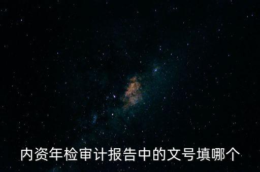 內(nèi)資年檢審計(jì)報(bào)告中的文號(hào)填哪個(gè)