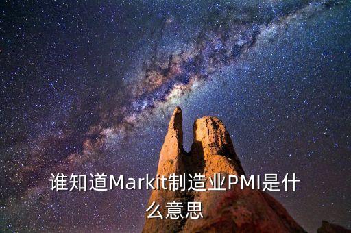 制造業(yè)pmi值是什么，誰知道Markit制造業(yè)PMI是什么意思