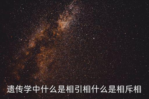 什么是借機(jī)斂財(cái)，琉璃世界水晶宮人生來(lái)空去亦空有口皆啤論與誰(shuí)難得淡泊為蒼生