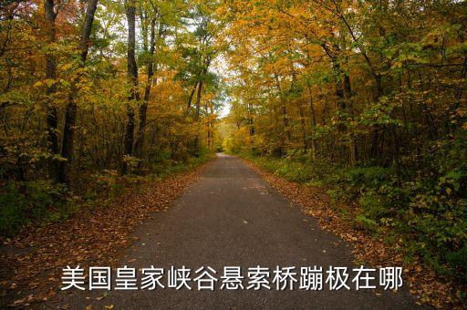 美國皇家峽谷懸索橋蹦極在哪