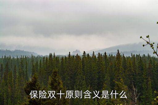保險雙十原則含義是什么