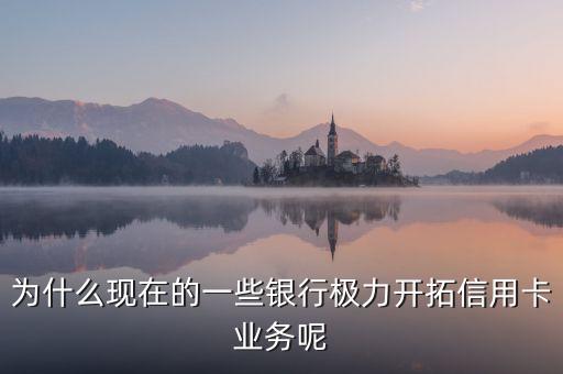 為什么極力發(fā)展信用卡業(yè)務(wù)，為什么現(xiàn)在的一些銀行極力開(kāi)拓信用卡業(yè)務(wù)
