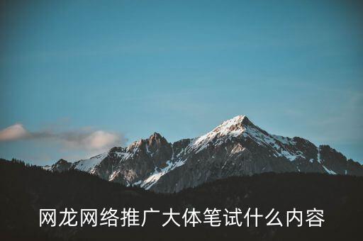 網(wǎng)龍?jiān)诰€教育做什么，網(wǎng)龍網(wǎng)絡(luò)推廣大體筆試什么內(nèi)容