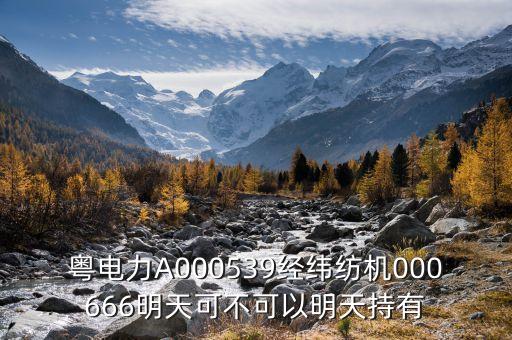 粵電力A000539經(jīng)緯紡機(jī)000666明天可不可以明天持有