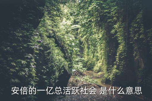 一億總活躍社會是什么， 安倍的一億總活躍社會 是什么意思