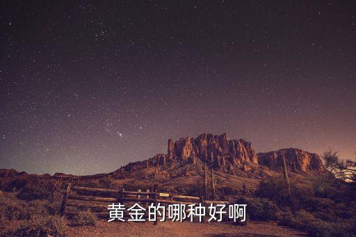 貴金屬買什么好，黃金買什么好