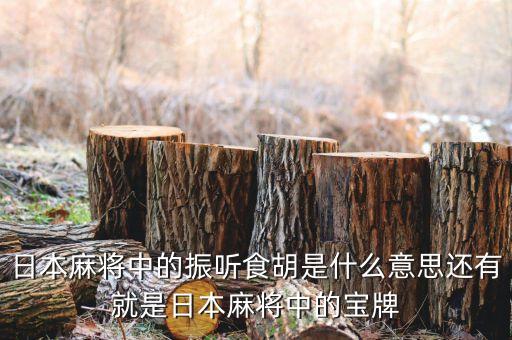 匯盈貸是什么，日本麻將中的振聽食胡是什么意思還有就是日本麻將中的寶牌