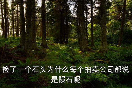 拍賣200元鑒定費(fèi)是什么，正規(guī)古董鑒定交易中心收取哪些費(fèi)用