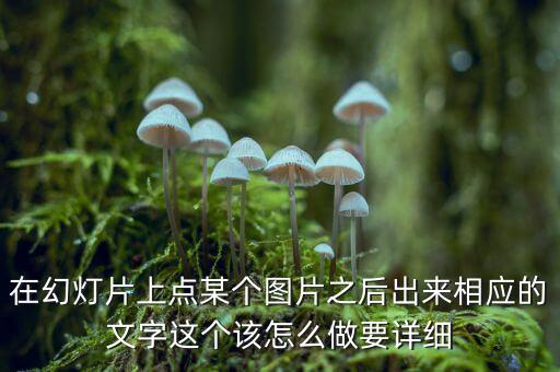莫奈認(rèn)為為什么是真正的財富，莫奈認(rèn)為什么是真正的財富