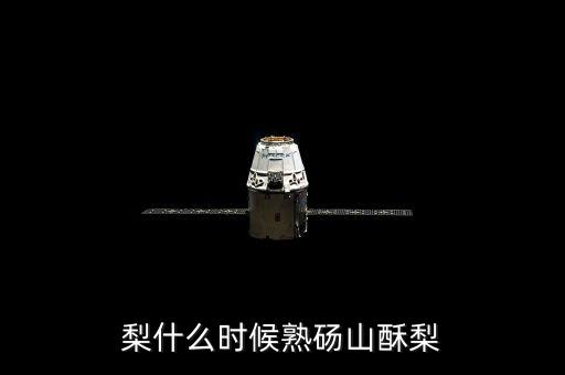 梨什么時候熟碭山酥梨