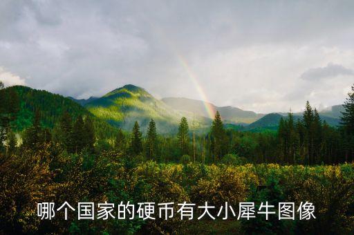 哪個國家的硬幣有大小犀牛圖像