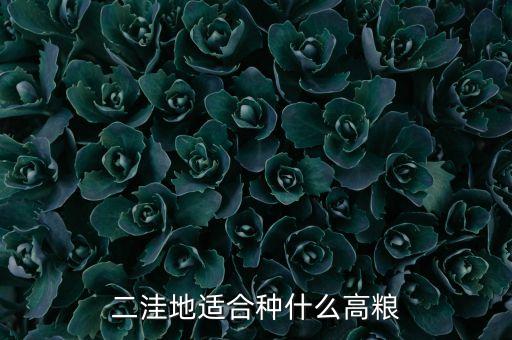 二洼地適合種什么高糧