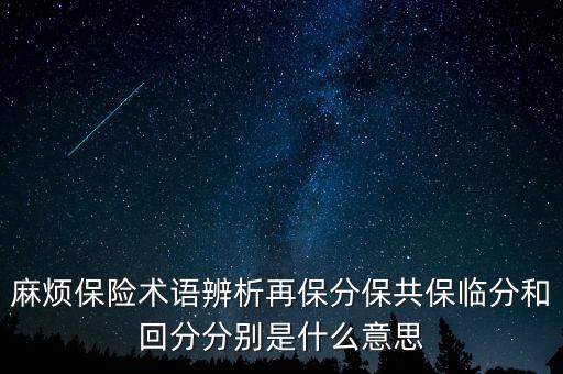 麻煩保險(xiǎn)術(shù)語辨析再保分保共保臨分和回分分別是什么意思