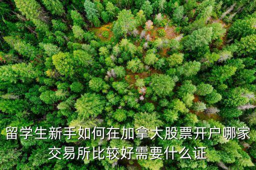 加拿大買什么股票好，加拿大o24股票是什么情況