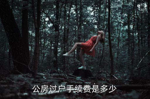 公房使用權(quán)轉(zhuǎn)讓需要交什么錢，公租房使用權(quán)交易如何收費