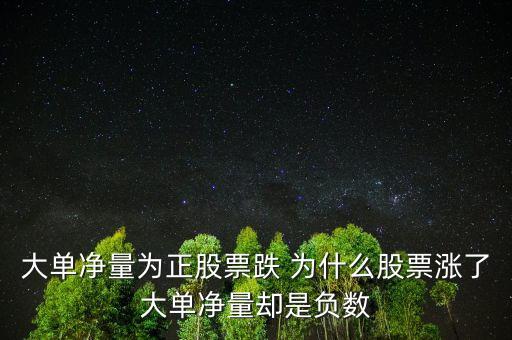 大單凈量為什么會(huì)大于1，為什么凈流入大筆資金大單凈量卻負(fù)很多