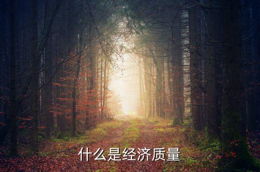 什么是經(jīng)濟(jì)質(zhì)量，什么是經(jīng)濟(jì)質(zhì)量