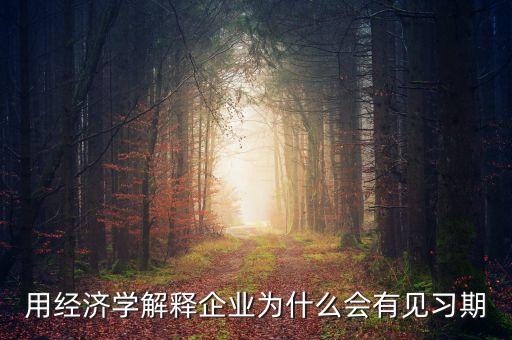 有用經(jīng)濟學(xué)企業(yè)為什么有，運用經(jīng)濟學(xué)常識說明喬布斯引領(lǐng)蘋果公司取得成功的原因