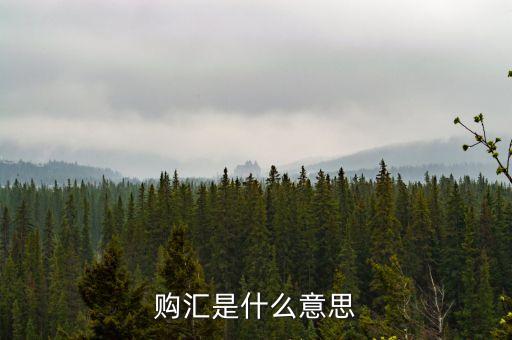 購(gòu)匯是什么意思
