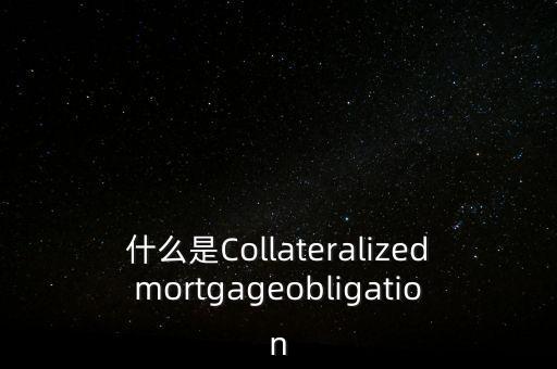 什么是償付債券，什么是分期償付債券