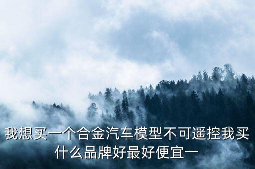 我想買一個(gè)合金汽車模型不可遙控我買什么品牌好最好便宜一