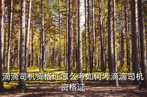 滴滴司機資格證怎么考如何考滴滴司機資格證