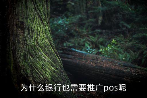 為什么銀行也需要推廣pos呢